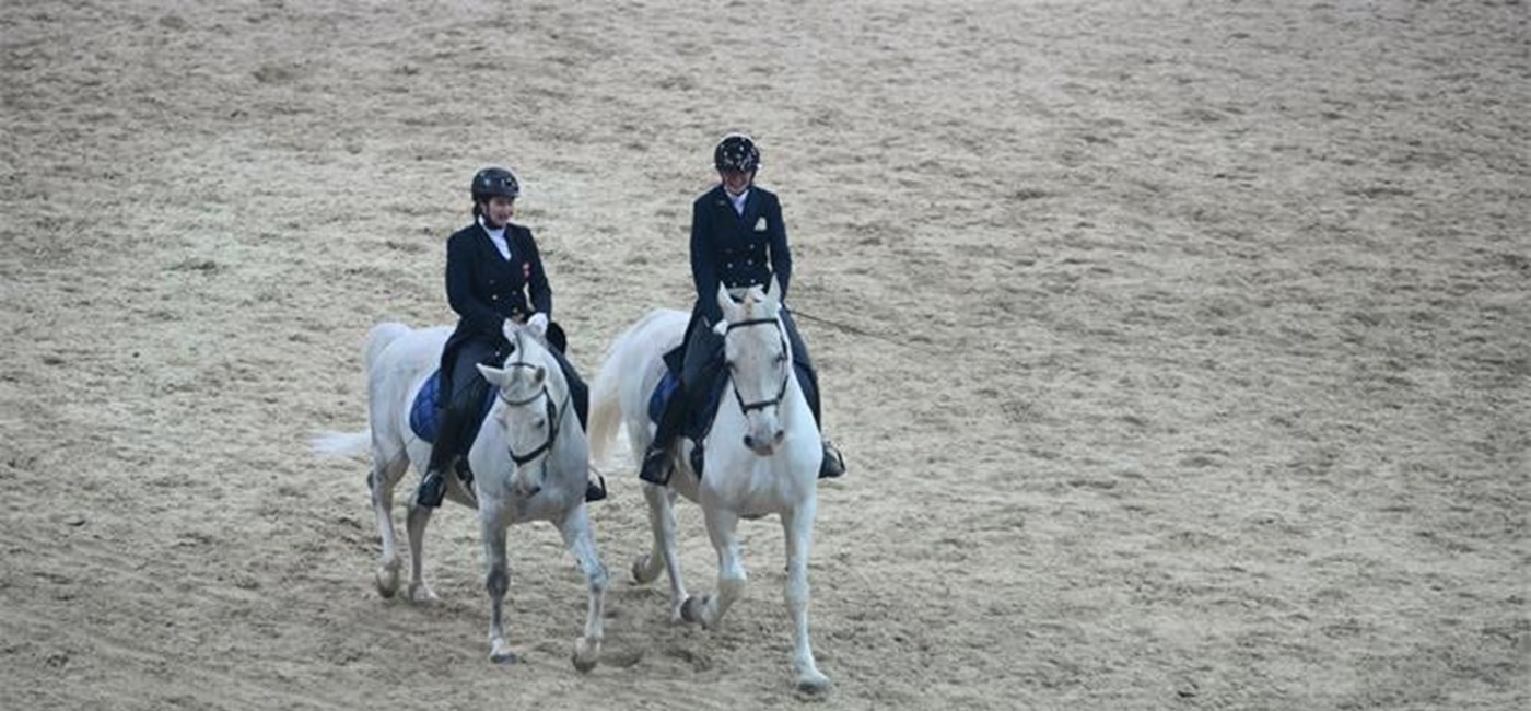 Đakovo and Lipik State Stud Farms awarded UNESCO charter